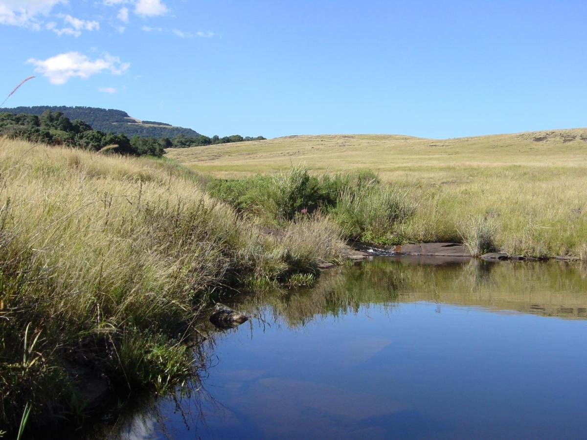 Rockwood Karkloof Forest Lodge & Mountain Cabin Karkloof Nature Reserve Exterior photo